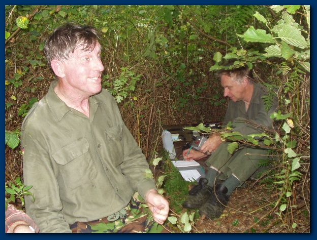 600x449 pixels (169K)